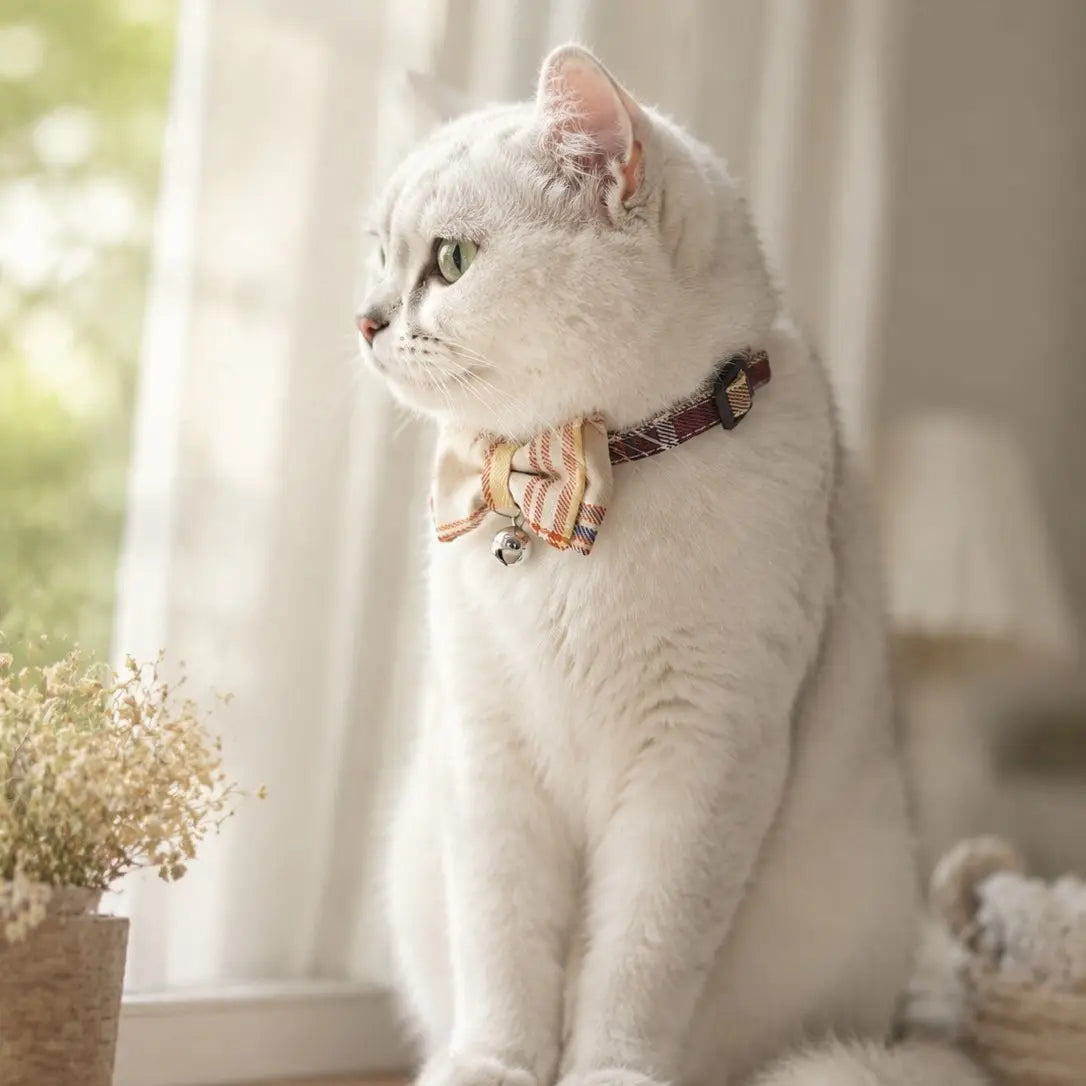 Adjustable Plaid Bow Pet Collar for Cats and Dogs | Lightweight Teddy Style Neck Accessory for Everyday Use and Photography